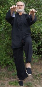 Der hungrige Tiger schnappt sich sein Mahl