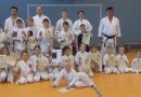 Gürtelprüfungen in den Abteilungen Karate und Taekwondo beim KSZU-Meiningen e.V.